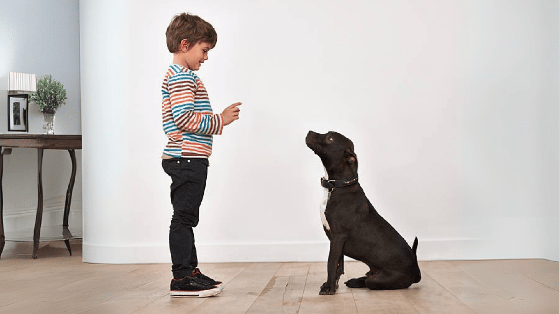 perro-y-niño perro-y-niño